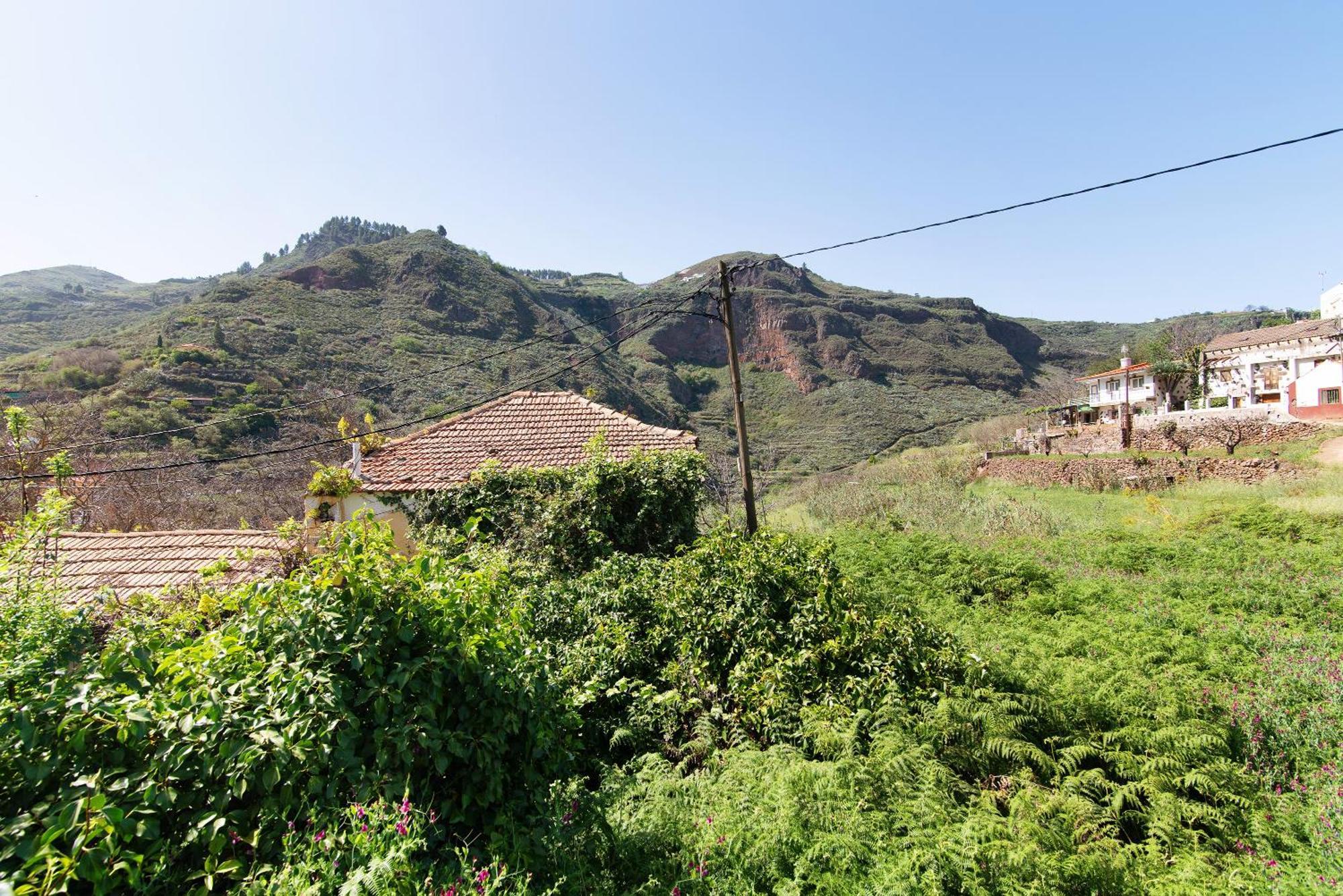 Villa Alma Vega de San Mateo Eksteriør billede